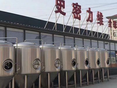爱民精酿啤酒设备厂—如何判断精酿啤酒设备的密封件需要更换？